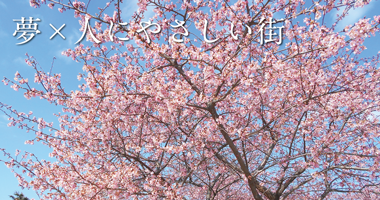 長野原町2018年度特集ページ（2019年02月07日掲載）