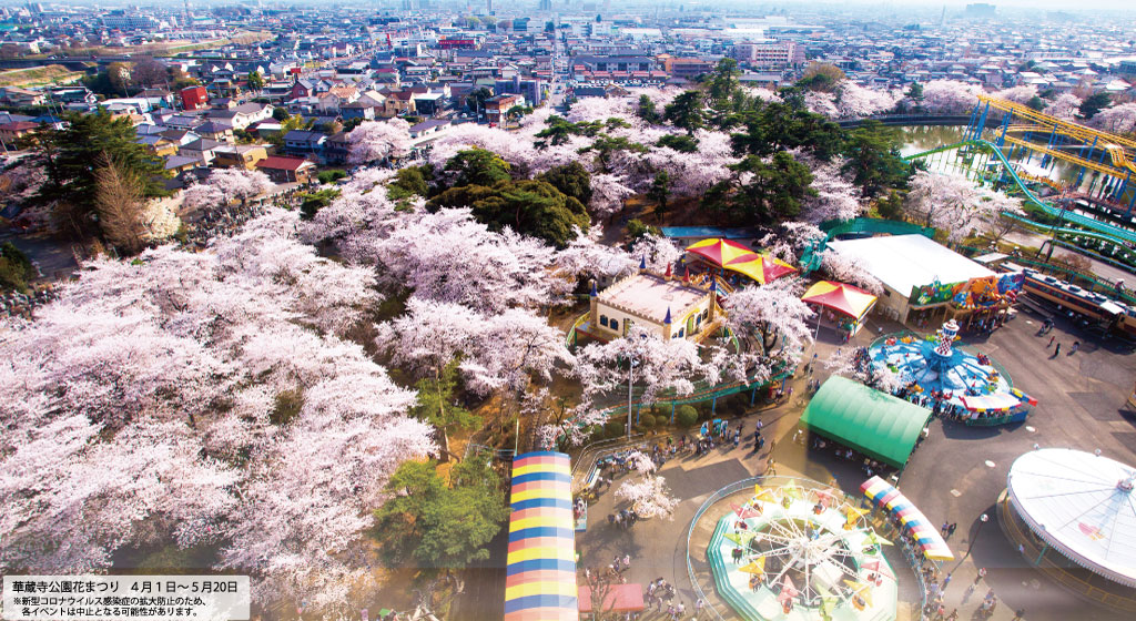 華蔵寺公園花まつり